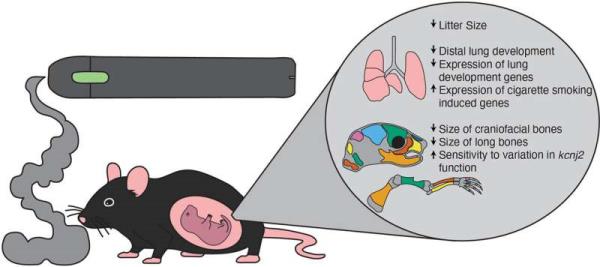 房卡一分钟了解“冷酷大厅正版微信金花房卡”房卡详细使用教程