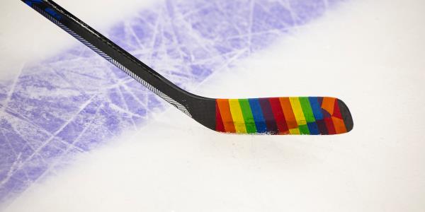 玩家必看教程“新鸿狐有挂吗”其实确实有挂