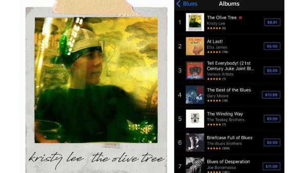 经过艰难的道路，这位来自阿拉巴马州的艺术家登上了iTunes蓝调音乐排行榜的榜首