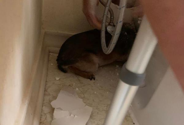 一分钟了解“微信链接牛牛房间房卡”详细房卡教程 一分钟了解“微信链接牛牛房间房卡”详细房卡教程