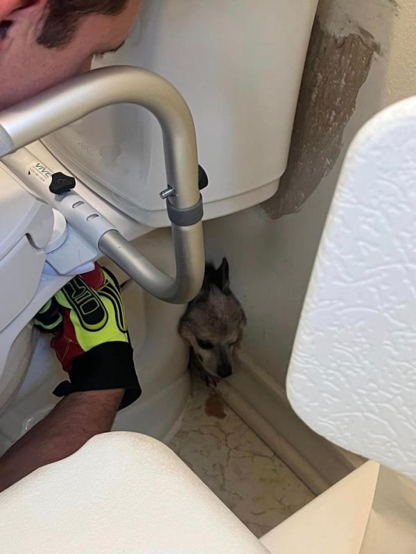 玩家必看“青鸟大厅拼三张房卡”房卡详细使用教程 玩家必看“青鸟大厅拼三张房卡”房卡详细使用教程