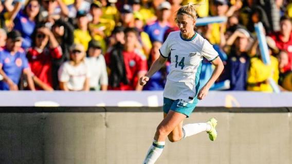 阿达尼企业从非传染性疾病融资125亿卢比后下跌