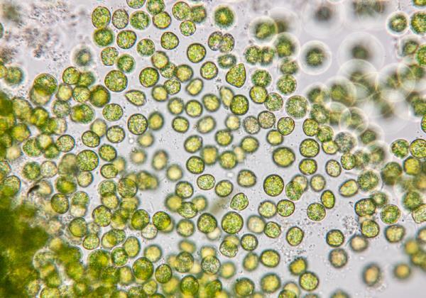 介绍一款“微乐游戏开挂方法!专业师傅带你一起了解(确实有挂) 介绍一款“微乐游戏开挂方法!专业师傅带你一起了解(确实有挂)