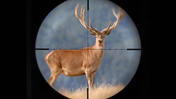 房卡攻略“斗牛房卡”详细房卡教程