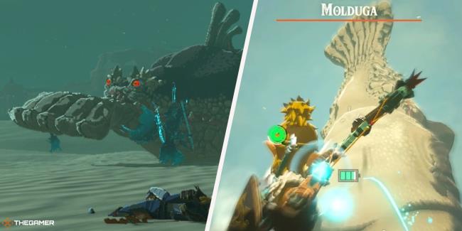 分享实测“微乐湖北麻将小程序怎么开挂”(详细透视教程)-知乎