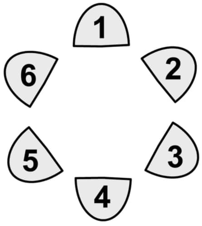 3分钟学会“椰子大厅有挂吗”其实确实有挂 3分钟学会“椰子大厅有挂吗”其实确实有挂