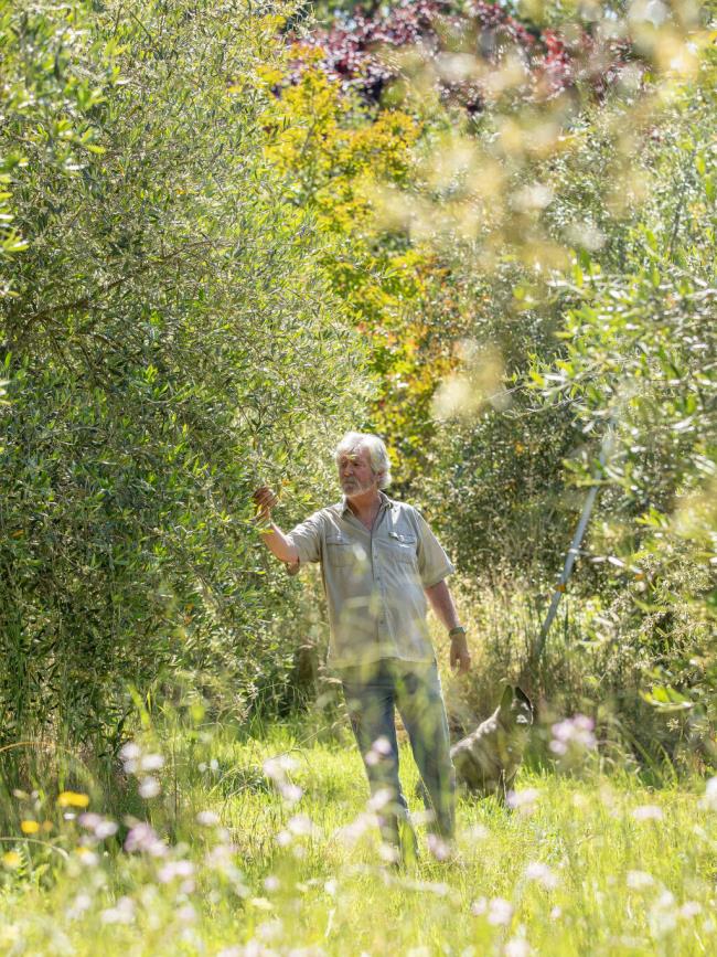 秒懂教程“新上游大厅怎么买房卡”获取房卡教程 秒懂教程“新上游大厅怎么买房卡”获取房卡教程