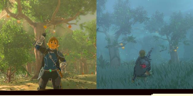 塞尔达传说：王国之泪-关于金苹果的一切