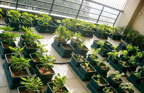 玩家必看教程“微乐跑得快透视软件”其实确实有挂 玩家必看教程“微乐跑得快透视软件”其实确实有挂