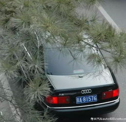 辅助神器“陕麻圈到底有没有挂”(确实是有挂)-知乎 辅助神器“陕麻圈到底有没有挂”(确实是有挂)-知乎