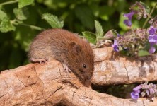 万能开挂辅助“长虹大厅有没有挂”详细开挂玩法 万能开挂辅助“长虹大厅有没有挂”详细开挂玩法