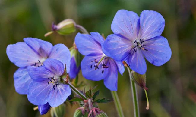 房卡一分钟“牛牛房卡链接”房卡详细使用教程 房卡一分钟“牛牛房卡链接”房卡详细使用教程