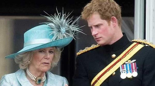 秒懂教程“购买斗牛房卡联系方式”获取房卡教程