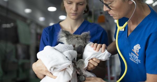 三分钟讲解“如何在微信上玩炸金花”获取房卡教程 三分钟讲解“如何在微信上玩炸金花”获取房卡教程