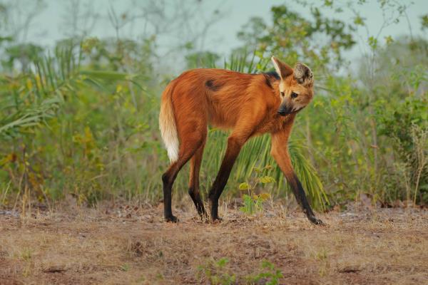 秒懂教程“微信链接炸金花房卡挂”详细房卡教程 秒懂教程“微信链接炸金花房卡挂”详细房卡教程