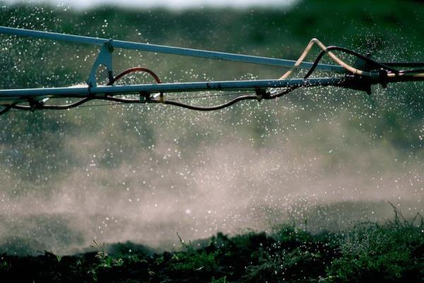 优特拉将投资2000万美元在RAK的有机肥料项目