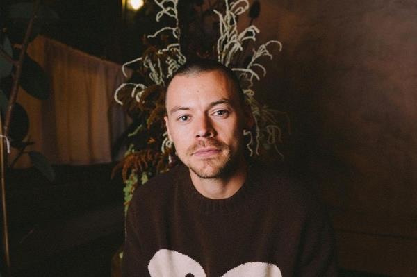 哈利·斯泰尔斯在粉丝们留下“悲伤”的老头发后，留了个平头，在网上引起了轩然大波