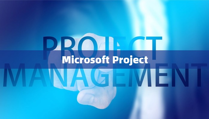 Microsoft Project