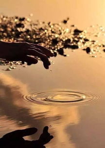 为爱启程，追寻生命中最美好的风景