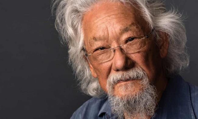 辅助开挂工具“旺旺福建麻将破解版!专业师傅带你一起了解(确实有挂)