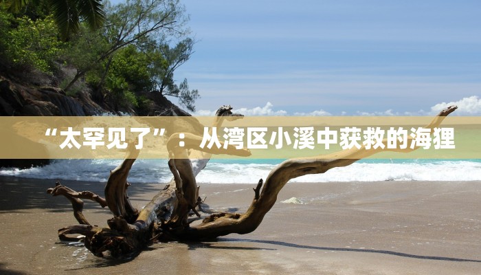 一分钟分享新道游炸金花挂-获取房卡教程 一分钟分享新道游炸金花挂-获取房卡教程