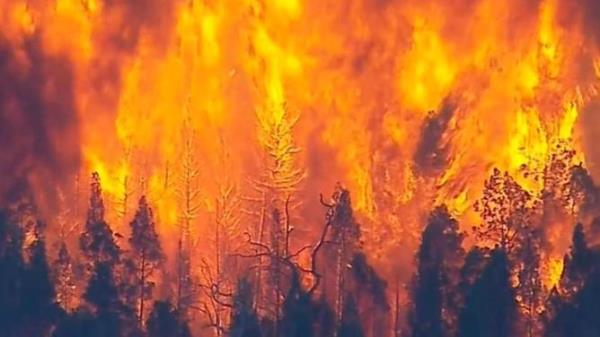 Pa美国首家获得乐器无塑料可持续性认证的吉他公司