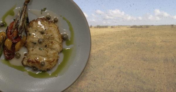 科普知识“德扑之星开挂是真的吗”(原来确实是有挂)