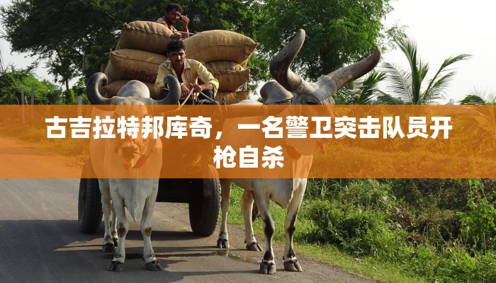 玩家攻略“玄龙大厅房卡怎么买
”房卡详细使用教程