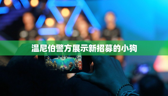 温尼伯警方展示新招募的小狗