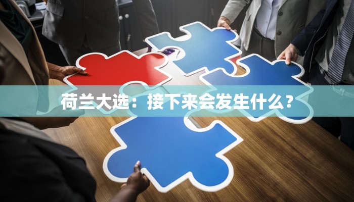 荷兰大选：接下来会发生什么？