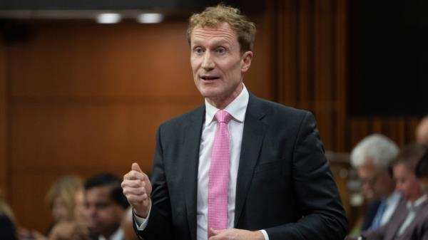 加拿大正在考虑让加拿大人的大家庭离开加沙：米勒