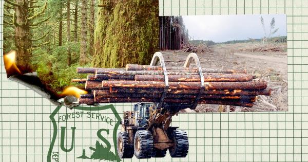 强力推荐“新道游棋牌开挂方法”(原来确实是有挂) 强力推荐“新道游棋牌开挂方法”(原来确实是有挂)