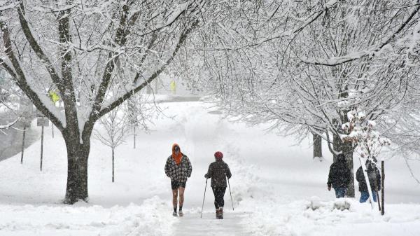 1分钟学会“微乐河南麻将开挂神器下载!分享用挂教程_2
