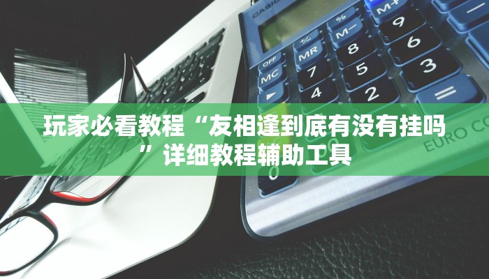 玩家必看教程“友相逢到底有没有挂吗”详细教程辅助工具