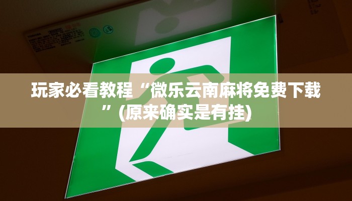 玩家必看教程“友友联盟开挂视频”(详细透视教程)-知乎