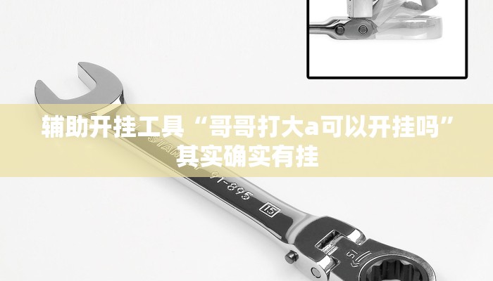 玩家必看教程“欢聚斗地主水鱼有挂吗”详细教程辅助工具