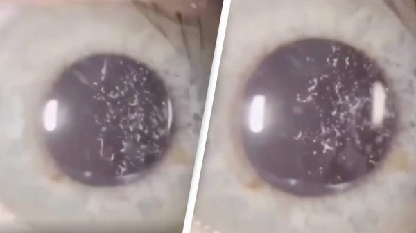 基本科普在哪可以创建炸金花的房间-(详细分享开挂教程) 基本科普在哪可以创建炸金花的房间-(详细分享开挂教程)