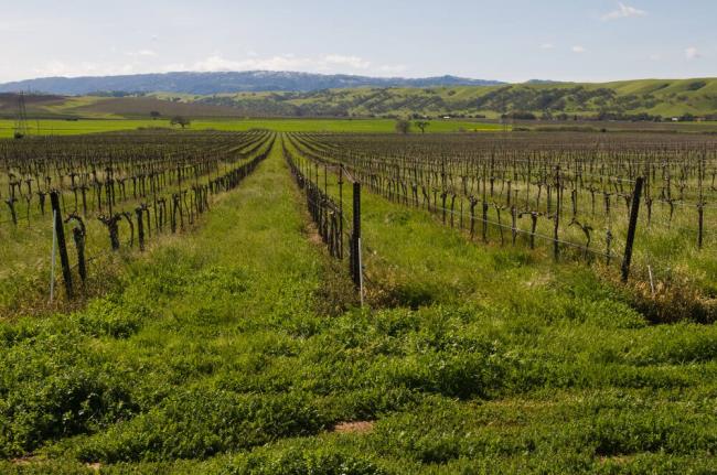 教程辅助!“牵手跑胡子开挂神器下载”其实确实有挂 教程辅助!“牵手跑胡子开挂神器下载”其实确实有挂