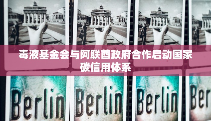 毒液基金会与阿联酋政府合作启动国家碳信用体系
