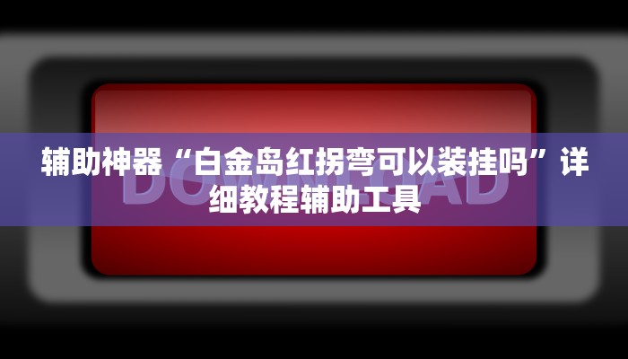 辅助神器“白金岛红拐弯可以装挂吗”详细教程辅助工具