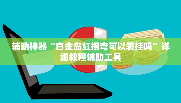 辅助神器“白金岛红拐弯可以装挂吗”详细教程辅助工具
