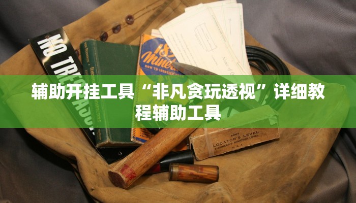 辅助开挂工具“非凡贪玩透视”详细教程辅助工具