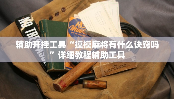 辅助开挂工具“摸摸麻将有什么诀窍吗”详细教程辅助工具