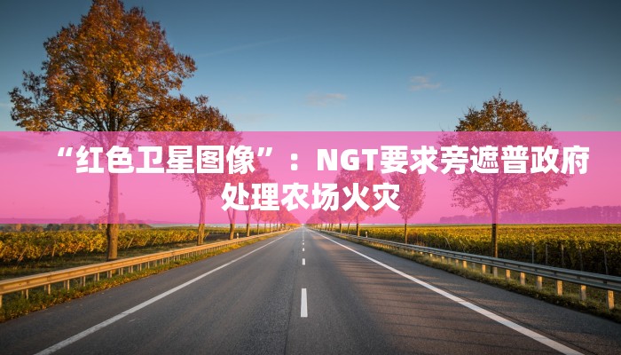 “红色卫星图像”：NGT要求旁遮普政府处理农场火灾