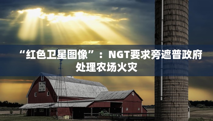 “红色卫星图像”：NGT要求旁遮普政府处理农场火灾