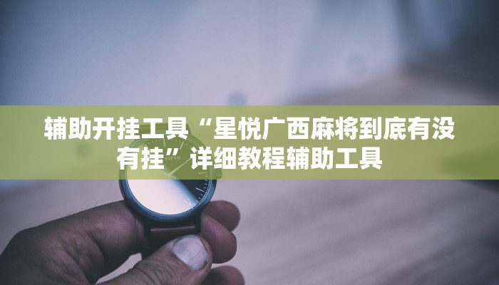 辅助开挂工具“星悦广西麻将到底有没有挂”详细教程辅助工具