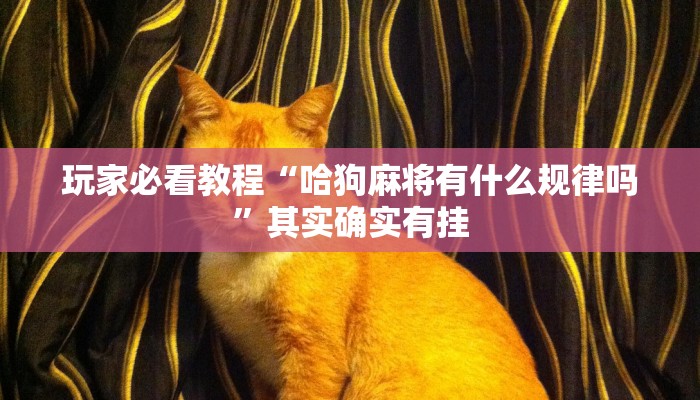 教程辅助!“蜀山四川麻将必赢神器”(原来确实是有挂)