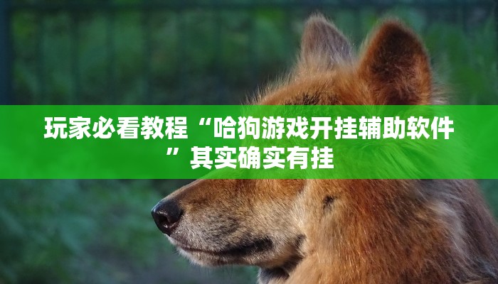 玩家攻略“微信新大圣金花链接大厅房卡
”房卡详细使用教程