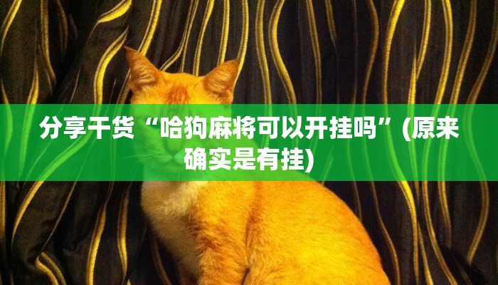 分享干货“哈狗麻将可以开挂吗”(原来确实是有挂)