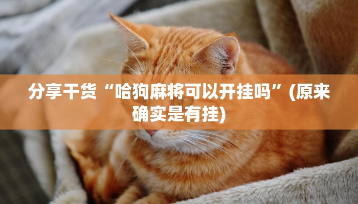 分享干货“哈狗麻将可以开挂吗”(原来确实是有挂) 分享干货“哈狗麻将可以开挂吗”(原来确实是有挂)